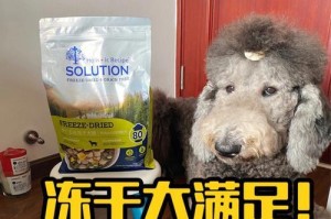 狗狗产仔后的饮食选择（为母狗提供健康的饮食，促进宝宝生长）