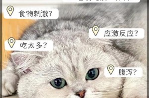 小猫吐了，我们要给它吃点什么？（急救小猫吐食物的方法和合适的饮食）