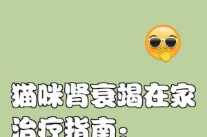 猫的头号杀手——肾衰竭（了解发病原因和治疗过程，及时挽救生命）