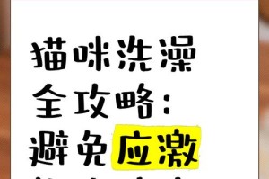 如何正确给猫咪洗澡？（掌握正确的洗澡姿势，让猫咪愉快清洁）