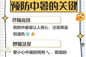 解析夏天狗吐的原因及预防措施（夏天狗吐，我们需要了解什么？）