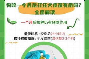 狗的疫苗接种计划（了解不同疫苗的间隔时间，保护你的宠物健康）