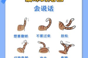 探讨猫尾巴的象征意义（解读猫尾巴的动作和姿态）
