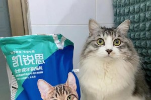 猫咪的经济实惠肉食选择（以猫吃什么肉便宜为主题的饲养经验分享）