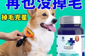 狗狗的生命线（狗狗健康小贴士，关注它们的饮食安全）