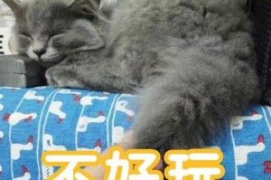 猫咪转圈是什么病？揭秘常见疾病及治疗方法（猫咪为什么会一直转圈？如何帮助猫咪恢复正常行为？）