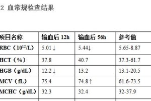 揭开狗贫血的面纱（了解狗贫血的病因、症状和治疗方法）