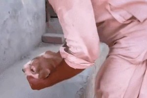 小狗躲起来的原因（揭秘小狗为什么常常躲起来的原因）
