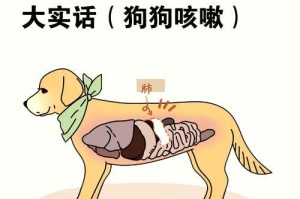 狗狗知道怀孕？主人怀孕时狗狗会有什么反应？（宠物狗的神奇感知力与怀孕的关系，你知道吗？）