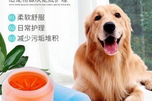 宠物狗狗的脚部清洁方法（如何正确给宠物狗狗洗脚）