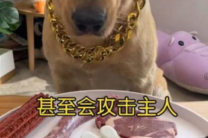 狗狗返祖（探究狗狗的进化历程和返祖现象）