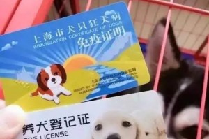 上海养狗手续详解（上海市居民养狗所需的手续、流程及费用）