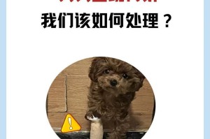 狗嘴巴骨折康复时间有多长？（了解狗嘴巴骨折康复时间和护理方法）