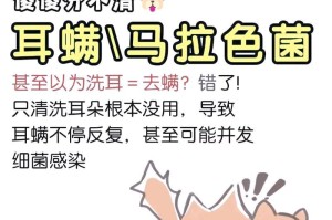 狗狗耳螨的测试及治疗方法（简单快捷的方法帮助你识别和治疗狗狗耳螨）