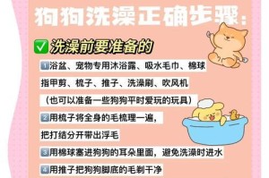如何确定你的狗狗洗澡的频率（了解适当的洗澡频率，确保狗狗的健康与舒适）
