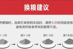 猫咪呕吐（了解猫咪呕吐的原因，科学预防和正确处理）