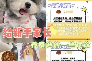 小泰迪宝宝的预防针时间表（了解小泰迪宝宝的预防针注射时间表及注意事项）