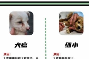 狗狗细小后多久打疫苗合适？（了解狗狗细小病毒，保护它们的健康）