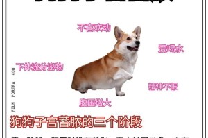 母狗乳房变大后多久生产？（母狗乳房变大后经历的生产周期及注意事项）