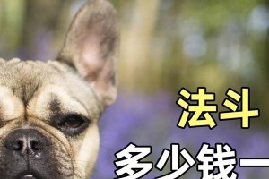 2021年法斗的价格走势（探索法斗市场的变化与趋势）