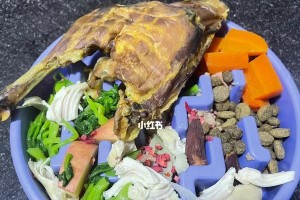 40天小狗的饮食指南（为宝贝提供健康营养的饮食方案）