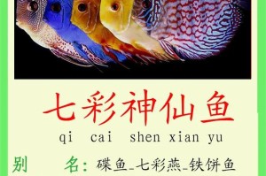 七彩神仙变成鱼的奇幻之旅（一场异变让它在水中自由畅游）