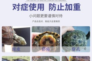 如何安全地养宠物？（小心引发疥疮，从细节做起）