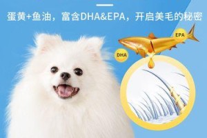 博美犬美毛小窍门（以博美喂什么美毛？）