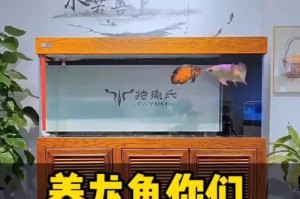 龙鱼饲养指南（探索龙鱼的饲养要点和关键技巧）