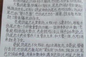 尾巴的形态特点及其意义（揭秘动物尾巴的奥秘，探寻尾巴形态背后的意义）