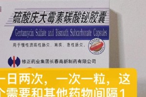 狗狗肠炎呕吐，用什么药物可以快速治愈？（药物治疗狗狗肠炎呕吐的有效方法及注意事项）