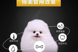 白博美的理想狗粮选择（为你的白博美提供最佳营养）
