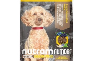 以泰迪幼犬为主题的进口狗粮——为你的宠物提供健康饮食（泰迪幼犬的专属饮食需求，进口狗粮选购指南）