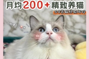 养猫成本揭秘（了解养猫的花费，让你为宠物做好准备）