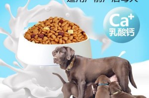 哺乳期泰迪饮食的注意事项（宝贝泰迪健康成长，饮食需谨慎）