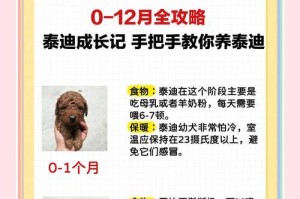 泰迪耳螨的清理频率与方法（探索有效的泰迪耳螨收拾策略）