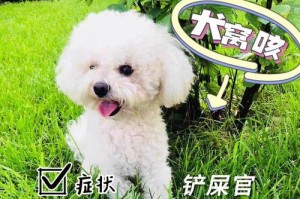 狗狗咳嗽注射的好处（保护狗狗免受呼吸道疾病的侵袭）