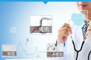 拉不拉多驱虫频率及注意事项（宠物拉不拉多驱虫时间、方法和关键点分析）