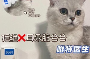 折耳猫绝育的时间安排（探讨折耳猫绝育的最佳时间及相关事宜）
