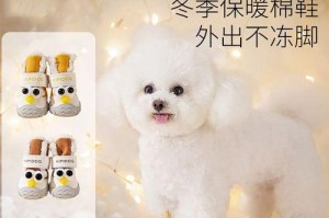 宠物狗的运动需求（探索宠物狗不喜欢运动的原因和如何满足它们的需求）