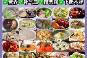 母犬产后如何下奶？（有效方法帮助母犬产后顺利下奶）