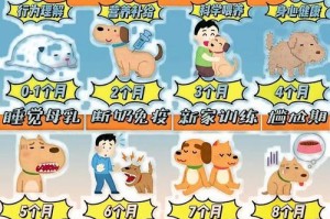 小狗多久可以开始吃奶？（了解小狗何时开始进食，做好喂养准备）