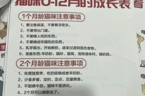 猫的成年期到底是多久？（揭秘猫咪成长的秘密，给你一个科学的答案！）