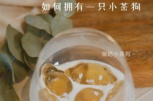 给狗狗做汤奶水，关注营养健康（选择适合的配方，让狗狗健康成长）
