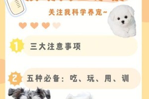 狗养殖的相关手续及注意事项（如何合法养殖狗，助您顺利经营）