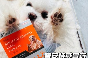 狗狗感冒如何饮食调理（为你的狗狗提供正确的饮食，加速康复）