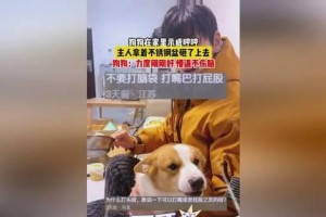 为什么狗狗突然哼哼？（探究狗狗哼哼的原因与解决方法）
