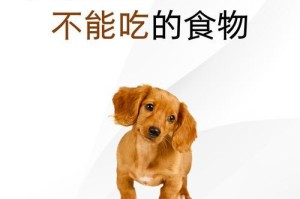 生病后的狗狗能吃什么水果？（给你的宠物提供营养和味道的水果选择）