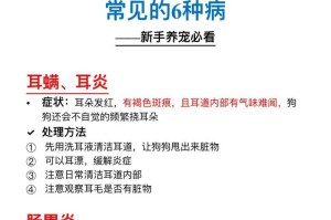 养泰迪幼犬的注意事项（养泰迪幼犬需了解的关键事项及注意细节）