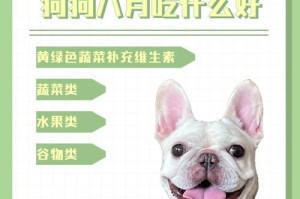 狗狗黑色素的关键饮食（了解如何通过饮食来提高狗狗黑色素含量）